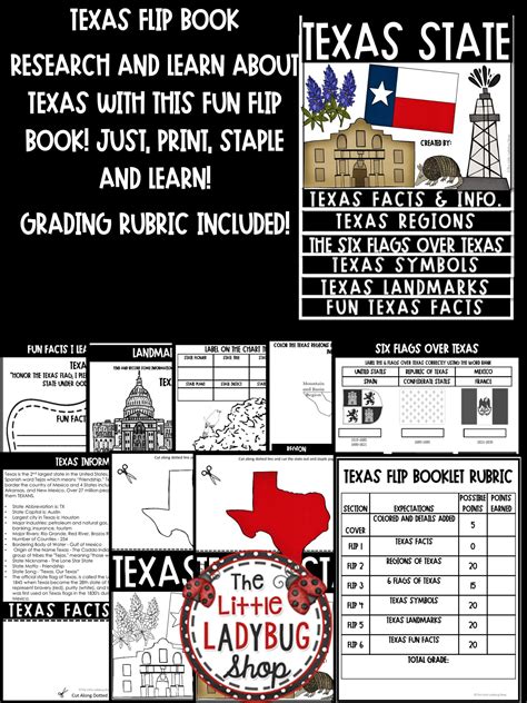 Texas History Research Flip Book Texas Symbols Landmarks And Texas
