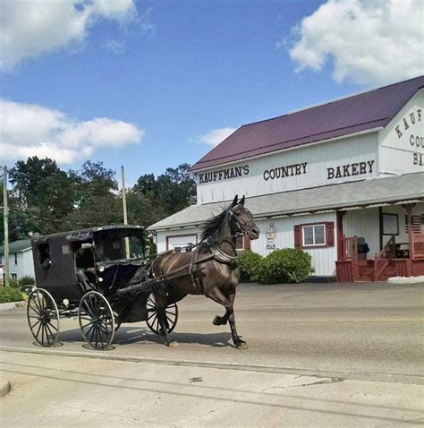 Ohios Amish Country Amish Country Holmes County Ohio Amish
