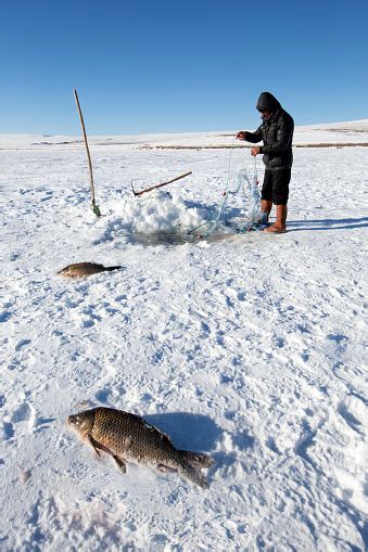 Fishermen Fishing By Using Fishnet On Frozen Cildir Lake Stock Photo