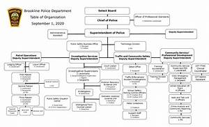 Organization Chart Brookline Police Department Ma Official Website