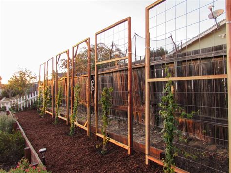 How To Build A Trellis Inexpensive And Easy Designs Homestead And Chill