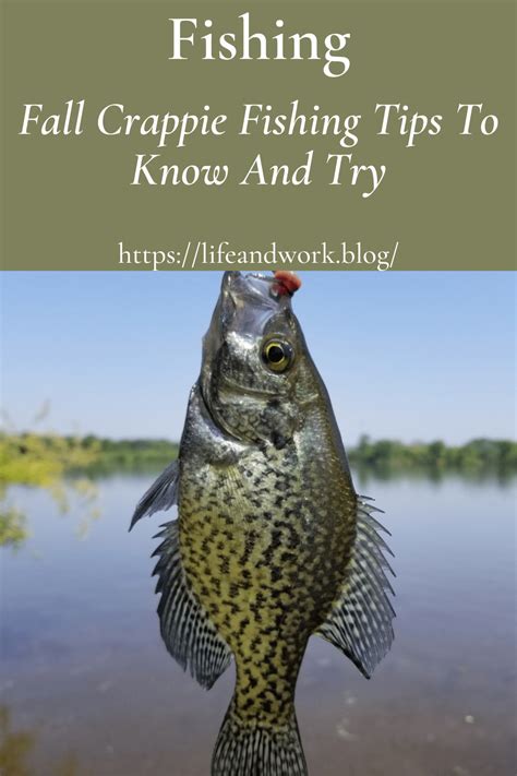 Fall Crappie Fishing Tips To Know And Try