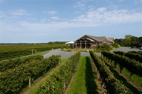 Long Island Wine Country Makes Trip Advisor Top 5 List