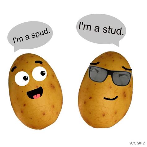 Studly Potato Food Humor Lol Laughter