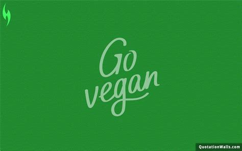 Vegan Wallpapers Top Free Vegan Backgrounds Wallpaperaccess