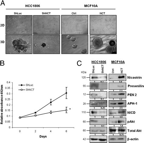 Nicastrin Regulates Breast Cancer Stem Cell Properties And Tumor Growth