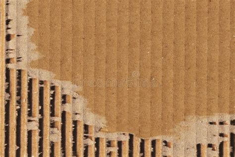 Cardboard Corrugated Grunge Texture Sample Stock Image Image Of