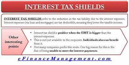 Tax Interest Shields Importance Meaning Risky