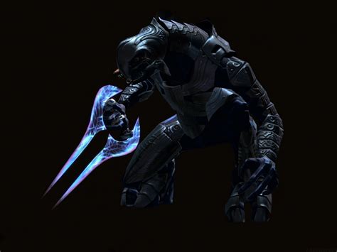 Image Arbiter In The Dark Halo Nation — The Halo Encyclopedia