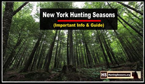 New York Hunting Seasons 2023 Latest Nys Hunting Rules