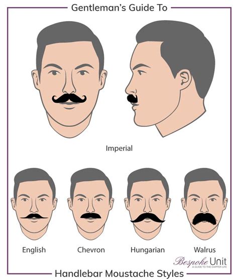 What Is The Handlebar Moustache How To Grow A Handlebar Moustache Moustache Style Moustache