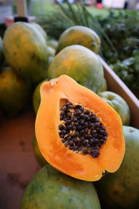 🥇 Image Of Fresh Papaya At The Market 【free Photo】 100012697