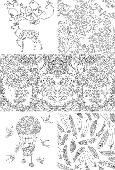 Books Enchanted Forest Adult Coloring Book Sincerely