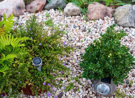 15 Gorgeous Rock Garden Ideas For Your Landscape Bob Vila Bee Garden