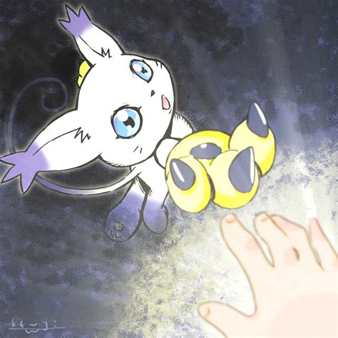 Gatomon Digimon Adventure Zerochan Anime Image Board
