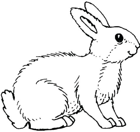 Velveteen Rabbit Coloring Pages at GetColorings.com | Free printable
