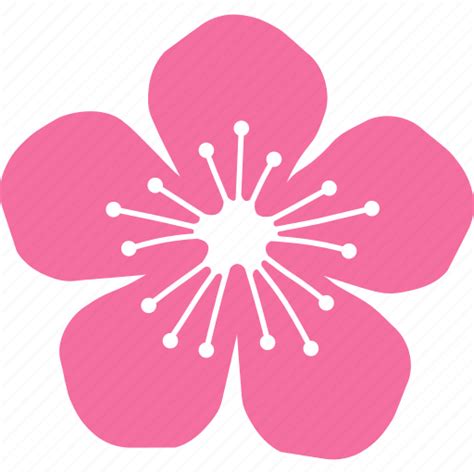 Blossom Cherry Festival Flower Peach Pink Sakura Icon Download