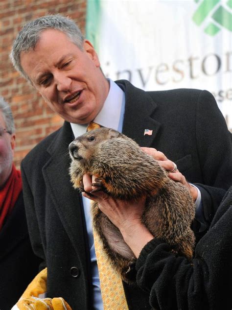 The new york post reports that the groundhog de blasio dropped was actually one named charlotte, not staten island chuck.zoo officials feared chuck would bite de blasio in the same fashion he. De Blasio's office not confirming if attending Groundhog ...