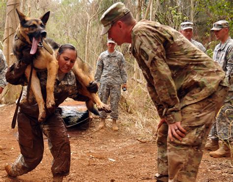 The Army K9 Handler In The Army