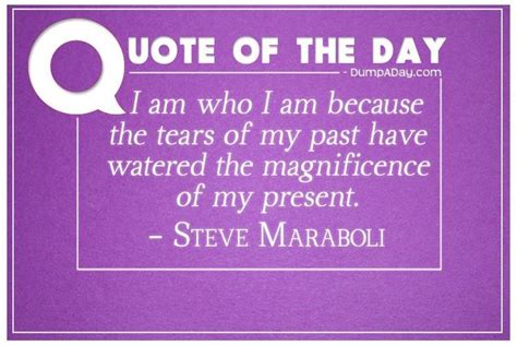 Steve Maraboli Quote About The Day I Am Who I Am Because The Tears Of