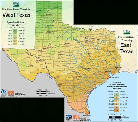 Texas Hardiness Zone Map Free Printable Maps