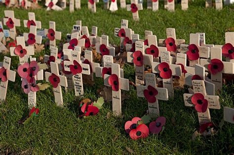 Why Do We Wear Red Poppies On Remembrance Sunday And How To Wear Them Uk News Uk