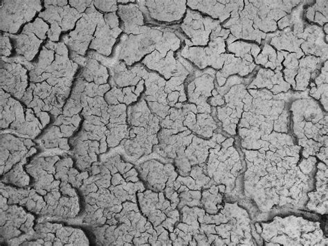 Cracked Earth Close Up Macro Texture Stock Photo Image Of Destroy