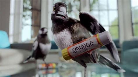 You already know a glass cleaner like windex will do the trick. Windex TV Commercial, 'Barra ensuciadora' Spanish - iSpot.tv