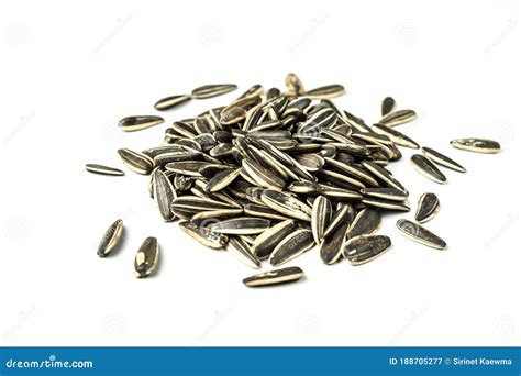 Sunflower Seeds Isolated Group With On White Background And Clipping