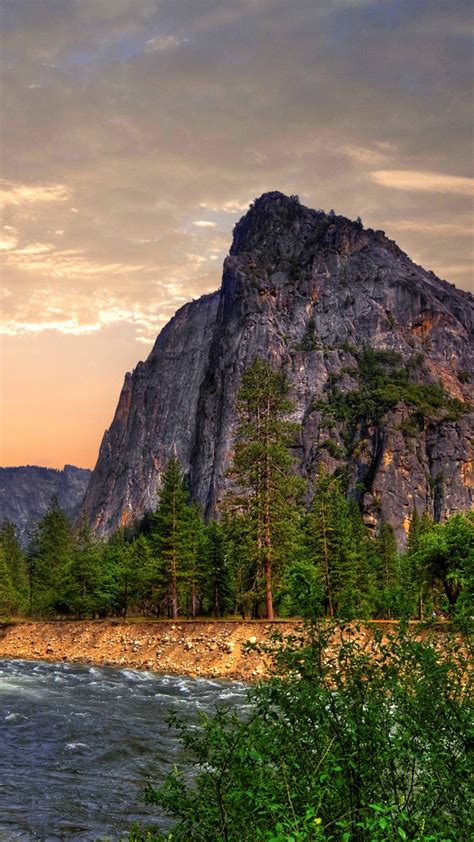 Download and use 2,000+ 8k wallpaper stock videos for free. Wallpaper Yosemite, 5k, 4k wallpaper, 8k, forest, OSX ...