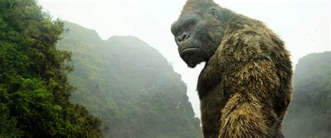 Hbo max is set to launch in may. Godzilla vs. Kong | Warner Bros. Movies Coming Out on HBO ...