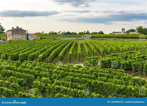 Bordeaux Vineyards Beautiful Landscape Of Saint Emilion Vineyard In