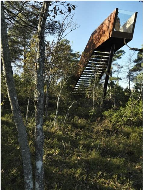 Staircases In The Woods Know More About This Mysterious Phenomenon