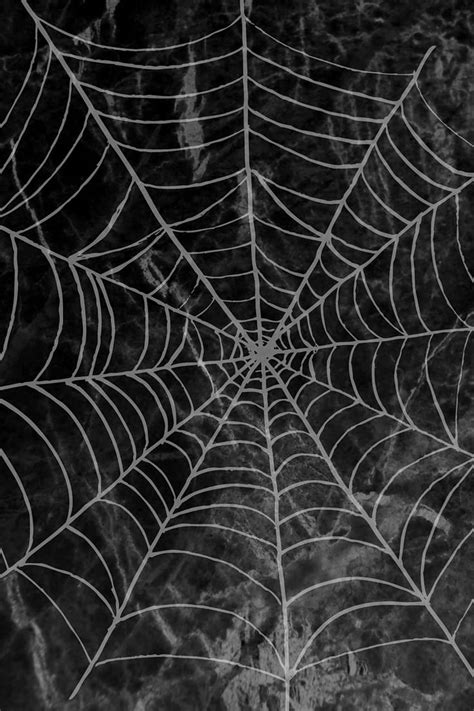 Aesthetic Spider Web Posted By Samantha Walker Cobweb Hd Phone