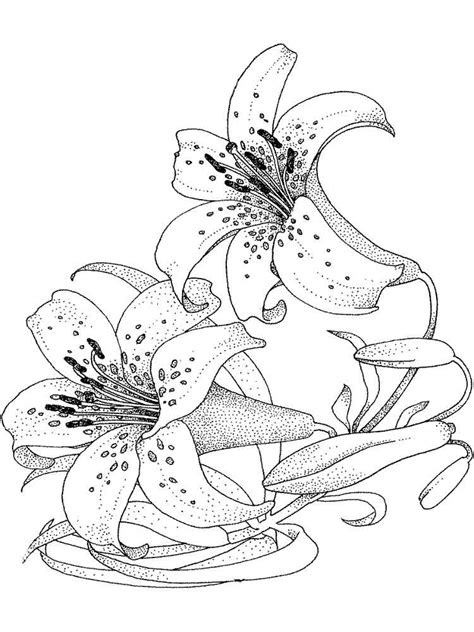 Flowers for adults coloring pages are a fun way for kids of all ages to develop creativity, focus, motor skills and color recognition. Lily Flower coloring pages. Download and print Lily Flower ...