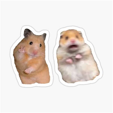 Hamster Peace Sign Stickers Redbubble