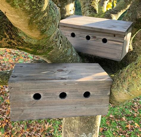 Sparrow Colony Terrace Wooden Nesting Box Etsy Uk In 2022 Nesting