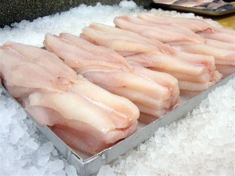 Haddock Fillets 1kg Frozen Only £2150 From The Berwick Shellfish