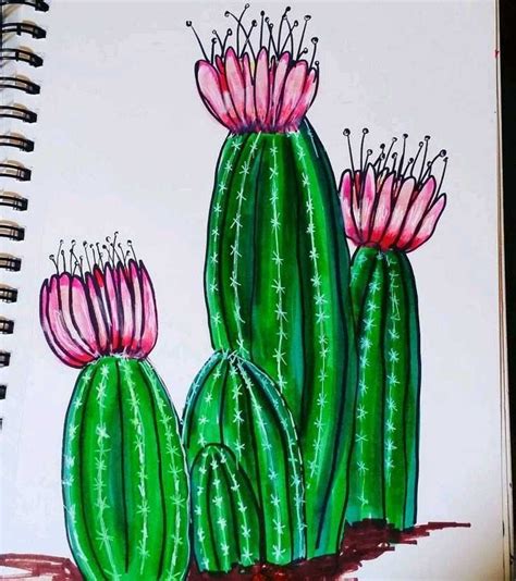 Pencil Sketches Easy Cactus Paintings Cactus Pictures Canvas Art
