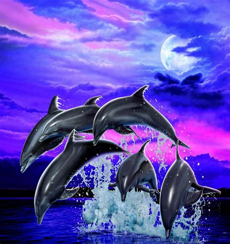 Dauphins dessinés