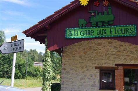 Le plaisir des fleurs même confiné - Saint-Julien-Maumont (19500)