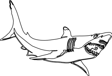 Cartoon Great White Shark Clipart Best