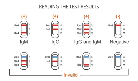 Covid 19 Igmigg Antibody Rapid Test Verify Diagnostics