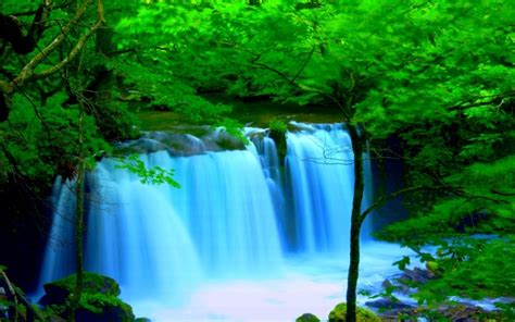 Hd Forest River Timber Waterfall Background Free Wallpaper Water Fall