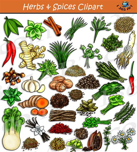 Herbs And Spices Clipart Set Download Clipart 4 School