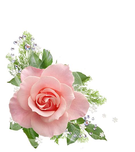 Floral border decoration with geometric and roses for wedding or greeting cards composition. Mi cofre de Photoshop: Bordes de flores PNG para tus ...