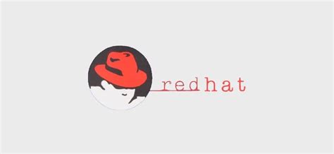 Red Hat 公司的起源与发展：十亿美金开源巨头的崛起 · 云原生实验室