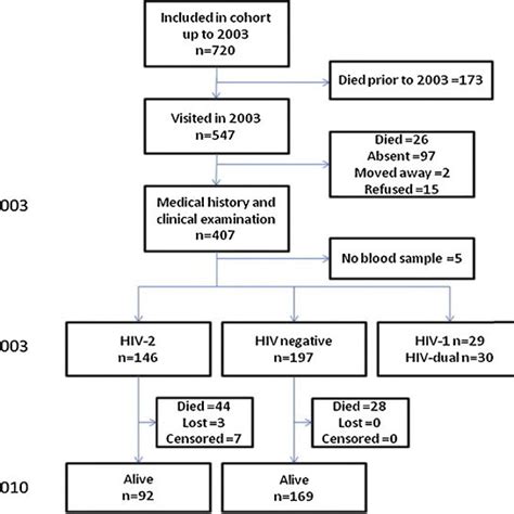 Flow Chart Of A Community Cohort Of Hiv Infected And Hiv Negative