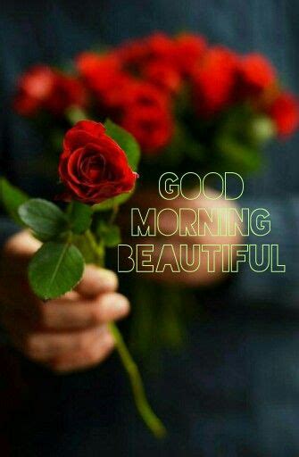 Flower good morning wishes images pic hd download. Good morning | Red roses, Beautiful flowers, Flowers