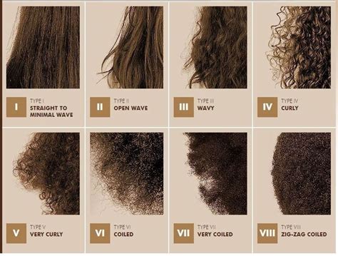 As your hair grows longer the weight of the hair can cause your curls to stretch making the curls appear to be looser. Hair types | Natural hair types, Curly hair styles, Hair chart